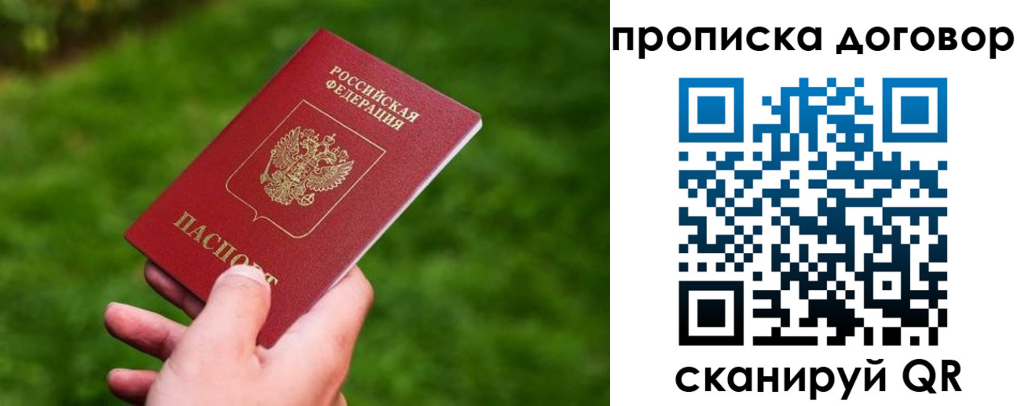 прописка гарантия в Саратовской области